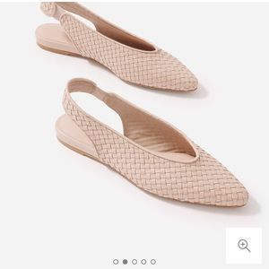 Everlane v sling back flats